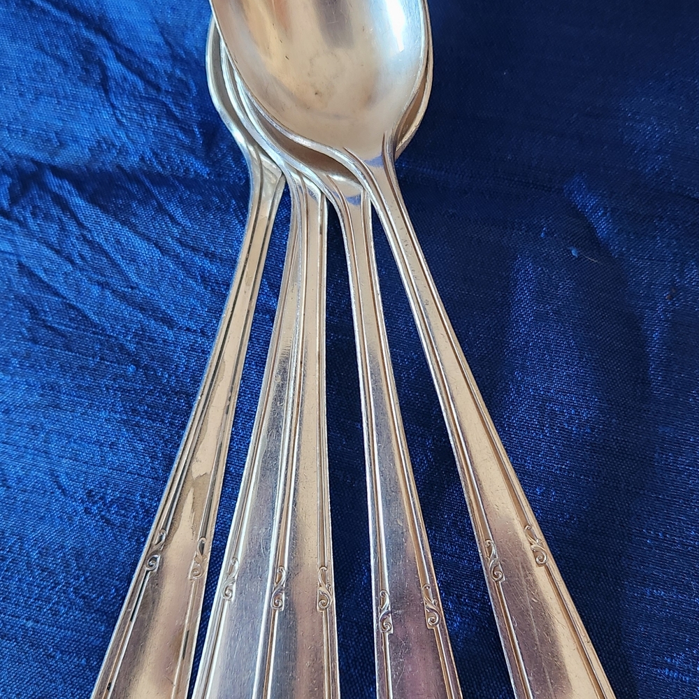 Elegant Silver Dining Spoon Set